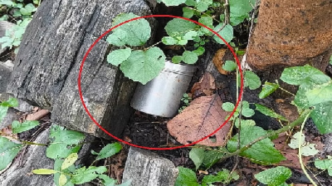 बीजापुर में सीआरपीएफ ने नक्सलियों द्वारा प्लांट किए गए तीन चार-चार किलो वजनी आईईडी को सफलतापूर्वक बरामद और निष्क्रिय किया। इन आईईडी को सूखे पत्तों और चट्टानों के नीचे छिपाया गया था।