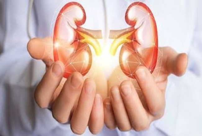 भोपाल के हमीदिया अस्पताल में पहली बार दूरबीन तकनीक से किडनी ट्रांसप्लांट किया गया। इस प्रक्रिया में मां ने अपने 24 साल के बेटे को किडनी डोनेट की, और लेप्रोस्कोपिक नेफ्रेक्टॉमी से सर्जरी की गई, जिसमें कम दर्द होता है।