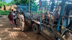 CG Crime:  छत्तीसगढ़ के दुर्ग जिले में शुक्रवार 13 जुलाई को पुरानी भिलाई पुलिस ने अलग अलग गाड़ियों में भर कर कत्लखाने ले जाए