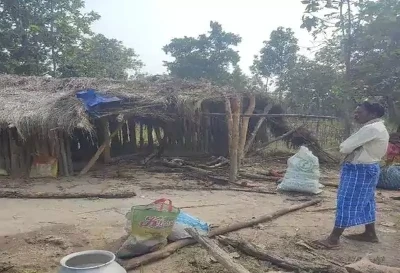 Elephant Attack