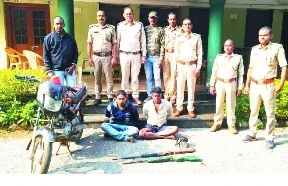 CG News: 2 hunters arrested with guns in Sonakhan forest, search for 4 absconding accused continues