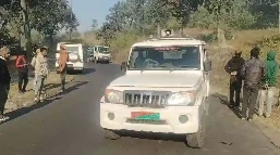 CG News: छत्तीसगढ़ के मनेंद्रगढ़ जिले के चिरमिरी नगर निगम रेंज के रहवासी क्षेत्र की गलियों में बाघिन को विचरण करते देख कर लोगों के बीच दहशत का