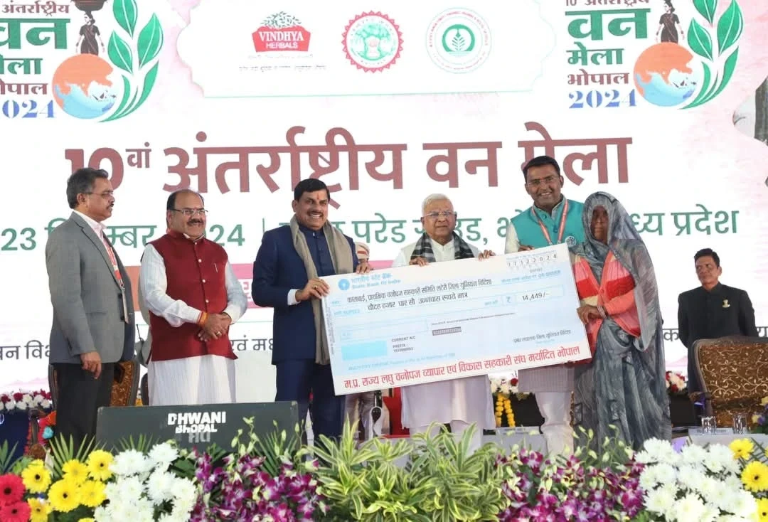 अंतर्राष्ट्रीय वन मेले