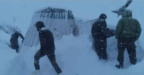 Chamoli Glacier Burst: उत्तराखंड के चमोली जिले के माणा गांव में बीआरओ कैंप पर ग्लेशियर टूटने से राहत और बचाव कार्य में जुटीं भारत-तिब्बत सीमा पुलिस (आईटीबीपी) और सेना की टीमों ने 55 में से 50 मजदूरों को बाहर निकाल लिया