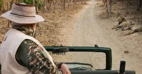 PM Modi Lion Safari Visit: गिर के जंगल सफारी में एशियाई शेरों के बीच पहुंचे प्रधानमंत्री नरेंद्र मोदी, देखें तस्वीरें