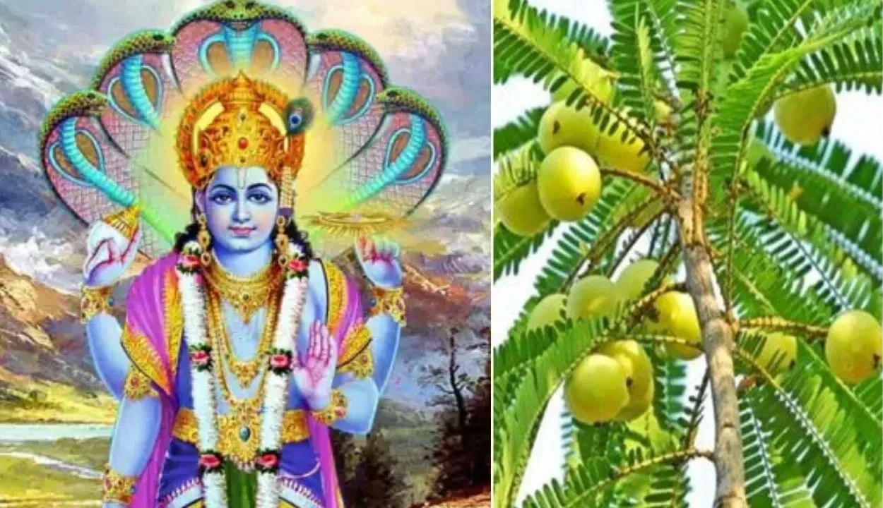 Amla Ekadashi