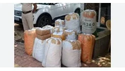 Goa drugs smuggling: गोवा क्राइम ब्रांच ने एक बड़े ड्रग्स रैकेट का भंडाफोड़ किया है, जिसमें 11.672 किलो हाइड्रोपोनिक वीड बरामद की गई है। बरामद की गई ड्रग्स की अनुमानित कीमत 11.67 करोड़ रुपए बताई जा रही है। यह गोवा के इतिहास में