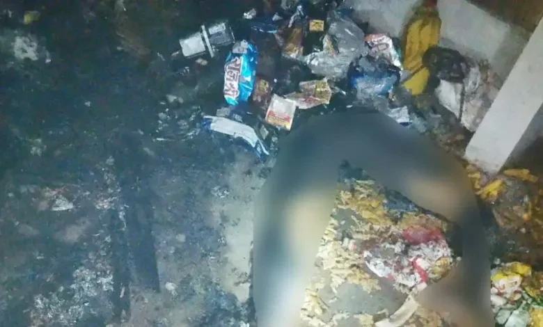 CG News : दुकान में लगी आग, मालिक की जलकर मौत, शॉर्ट सर्किट या साजिश का शक?