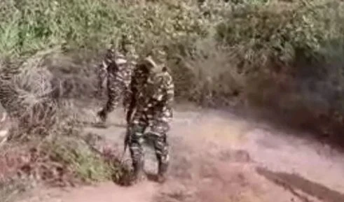 Naxal encounter: सुकमा-बीजापुर। छत्तीसगढ़ के सुकमा-बीजापुर बार्डर में शनिवार सुबह 7 बजे से पुलिस-नक्सली मुठभेड़ जारी है। मिली जानकारी के अनुसार सुरक्षा बल के जवानों ने 2 नक्सलियों को मार गिराया है।