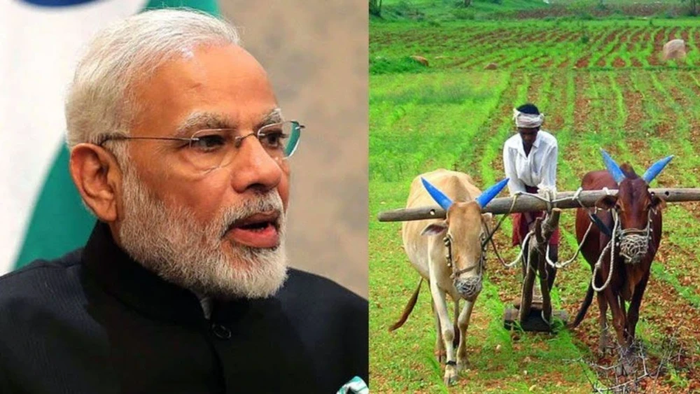 Modi cabinet: मोदी कैबिनेट की बैठक में किसानों को बड़ा तोहफा, खरीफ फसल पर लागत से 50% अधिक एमएसपी को मंजूरी Modi cabinet: मोदी कैबिनेट की बैठक में किसानों को बड़ा तोहफा, खरीफ फसल पर लागत से 50% अधिक एमएसपी को मंजूरी