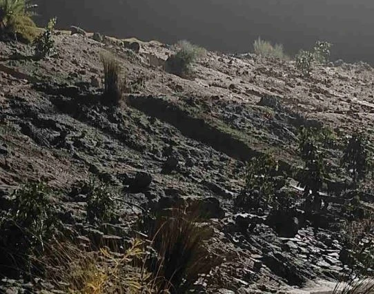 CG Breaking, CSEB, ash dam burst, heavy rain