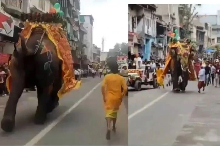Viral video:जगन्नाथ रथयात्रा में बेकाबू हुए हाथी, अहमदाबाद में मची अफरी तफरी, देखें VIDEO