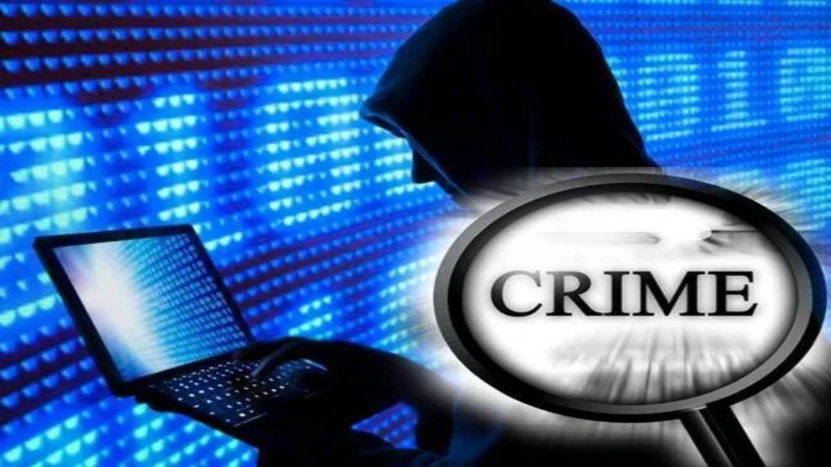 Cyber Fraud