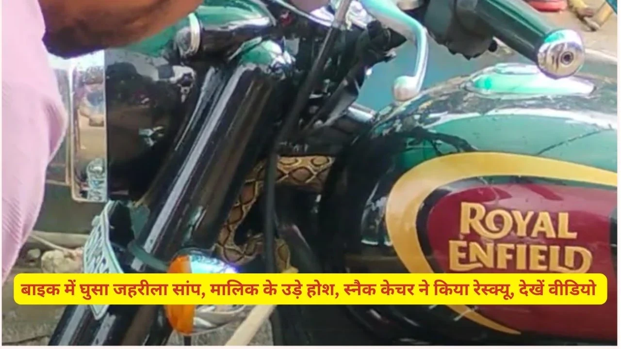 Snake being rescued from inside a bike by snake catcher – viral video