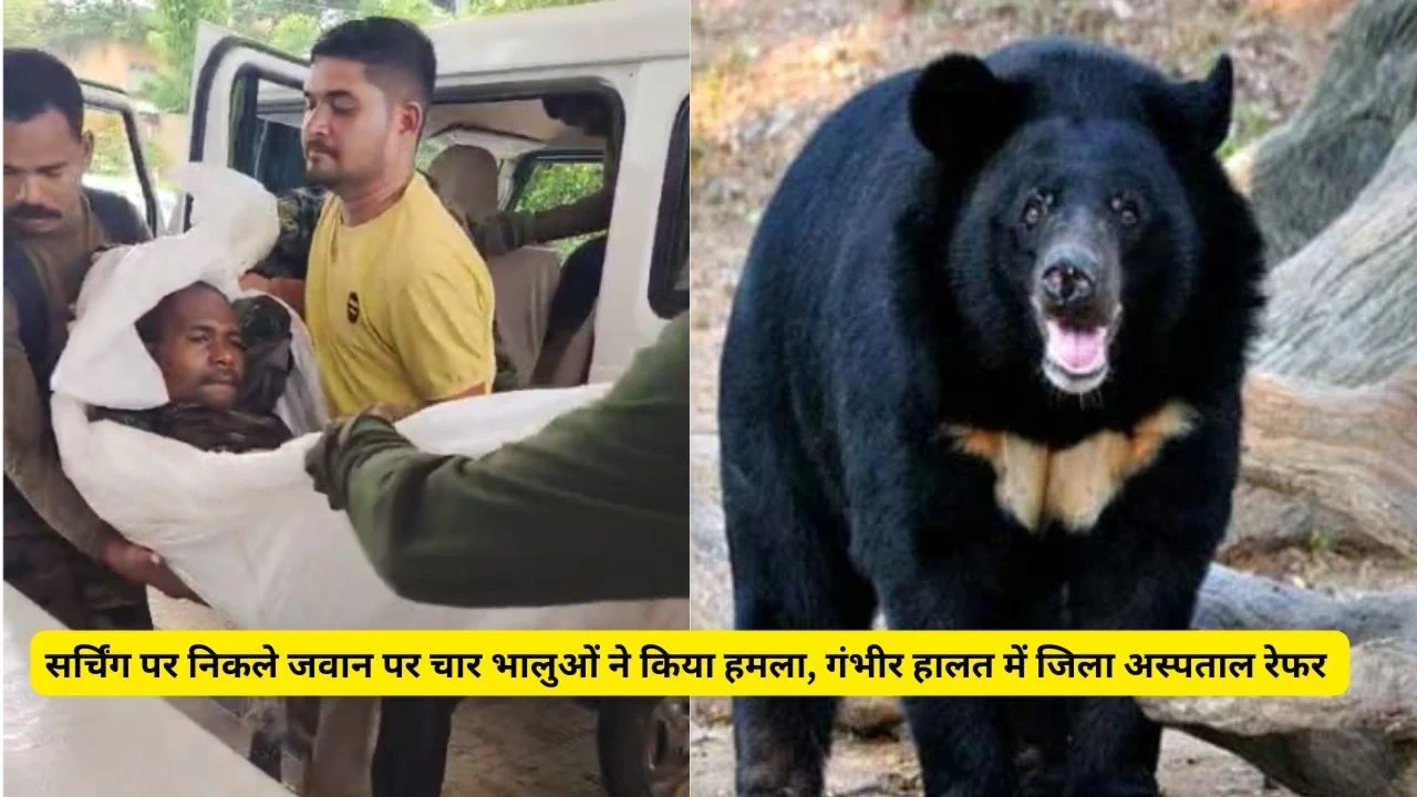 छत्तीसगढ़ के जंगल में भालू हमले में घायल जवान को स्ट्रेचर पर अस्पताल ले जाते हुए