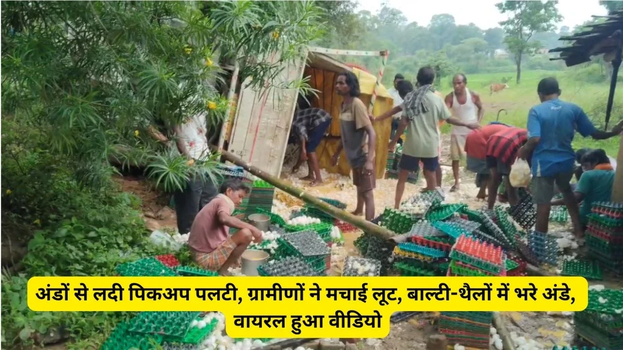 Overturned pickup overflowing with eggs and villagers collecting the eggs in buckets and bags in Jashpur, Chhattisgarh