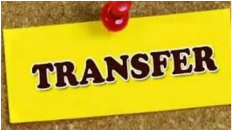 MP Transfer