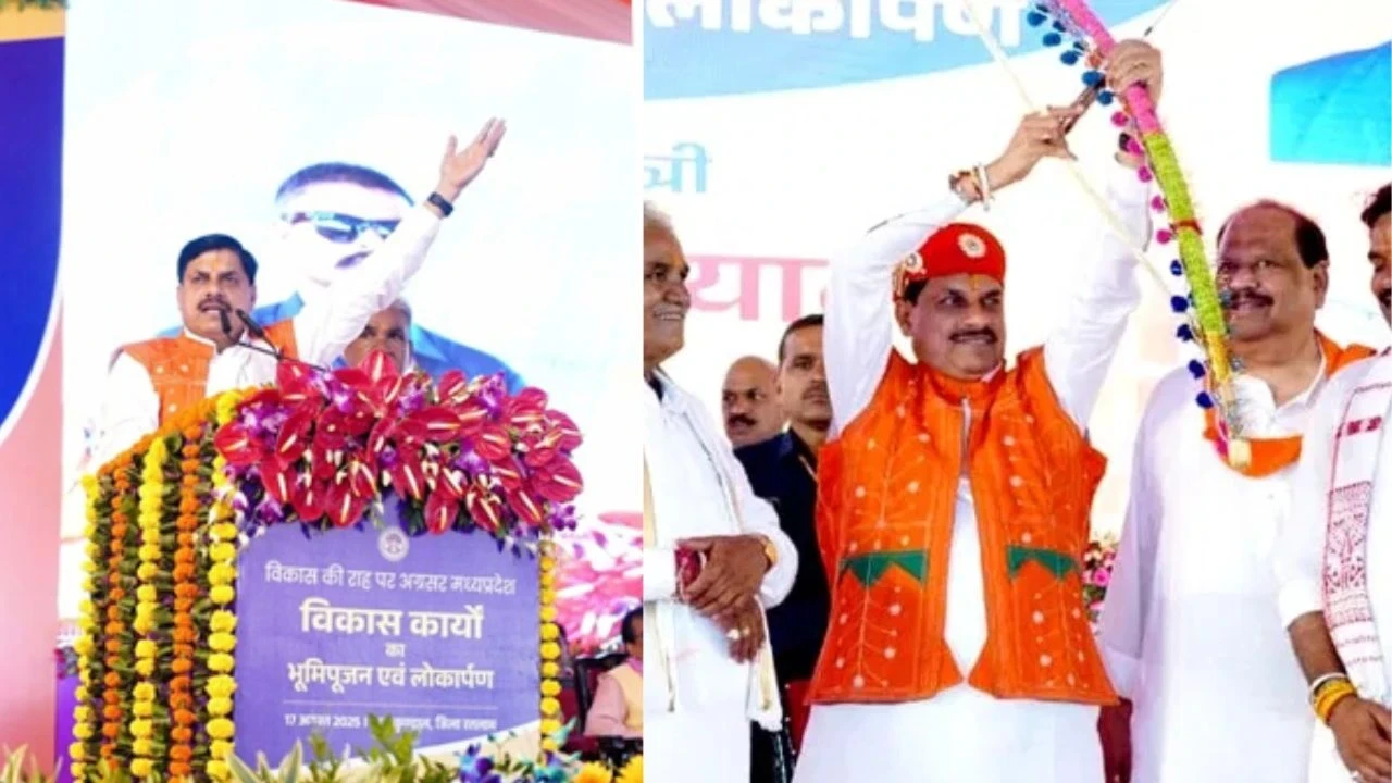 MP News