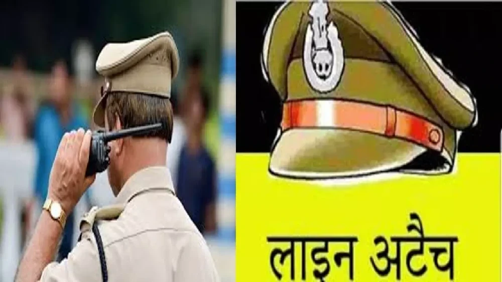 MP News