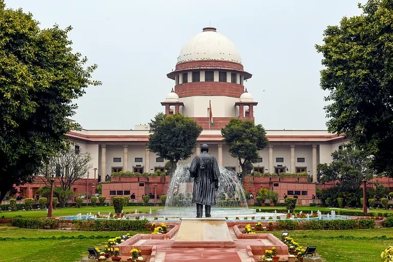 Supreme Court Verdict on Stray Dogs