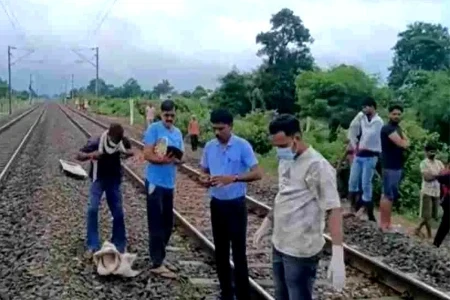 MP News
