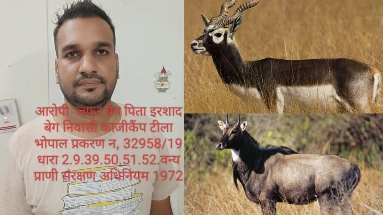 MP News