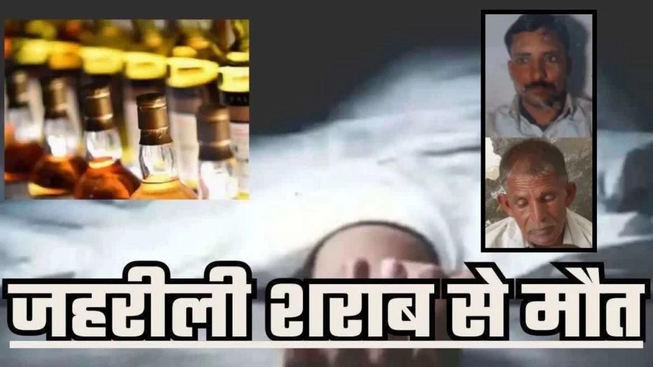 UP News