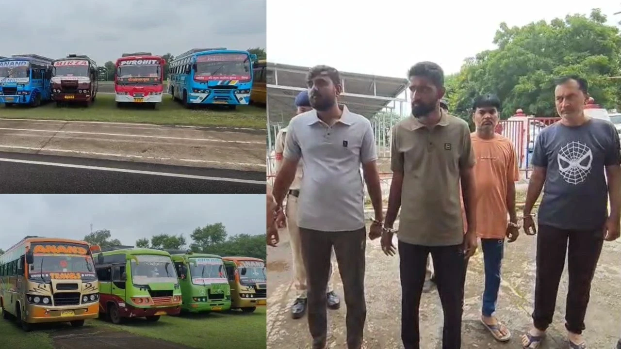 MP News