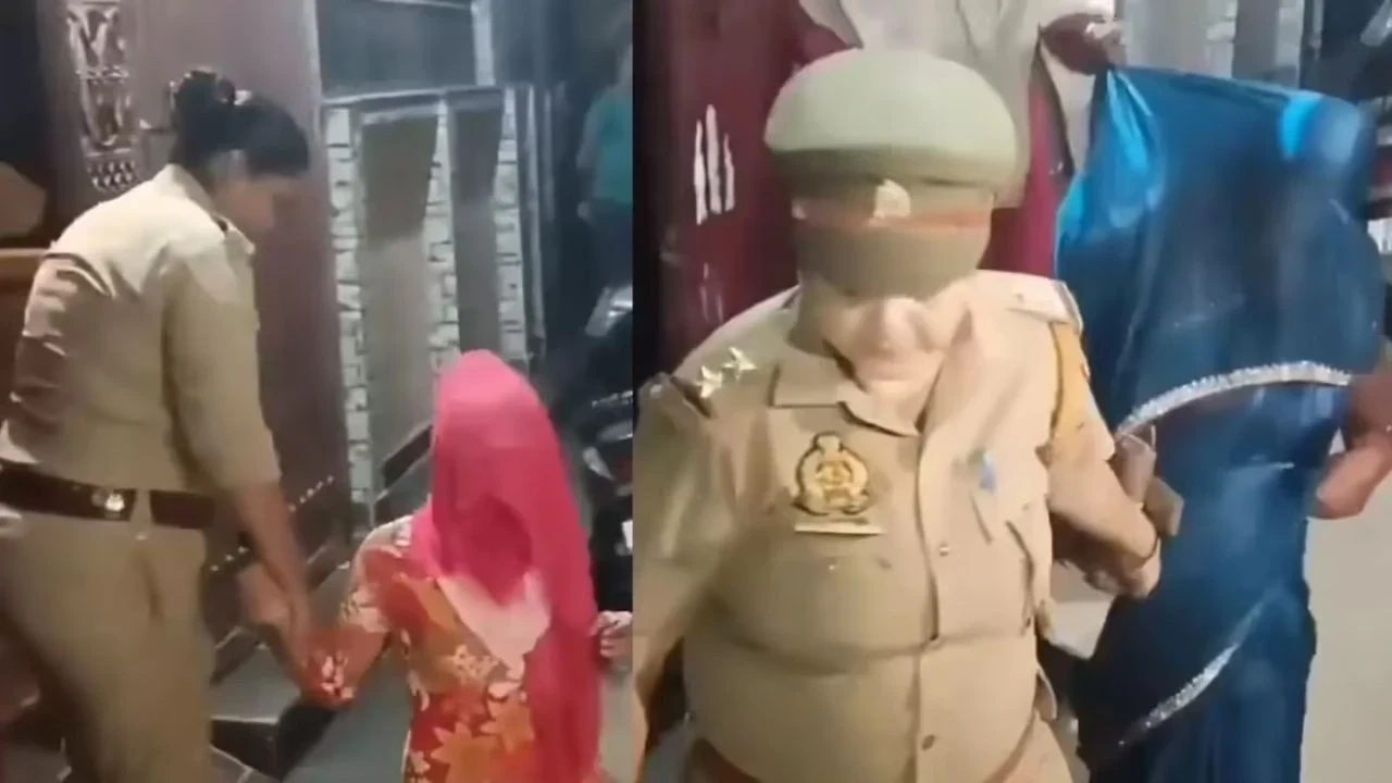 UP News