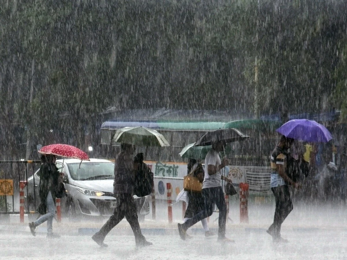 CG Rain Alert