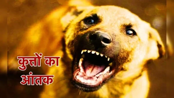 Terror of Dogs