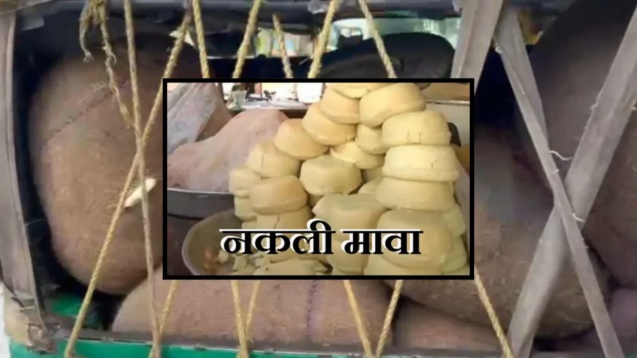 MP News