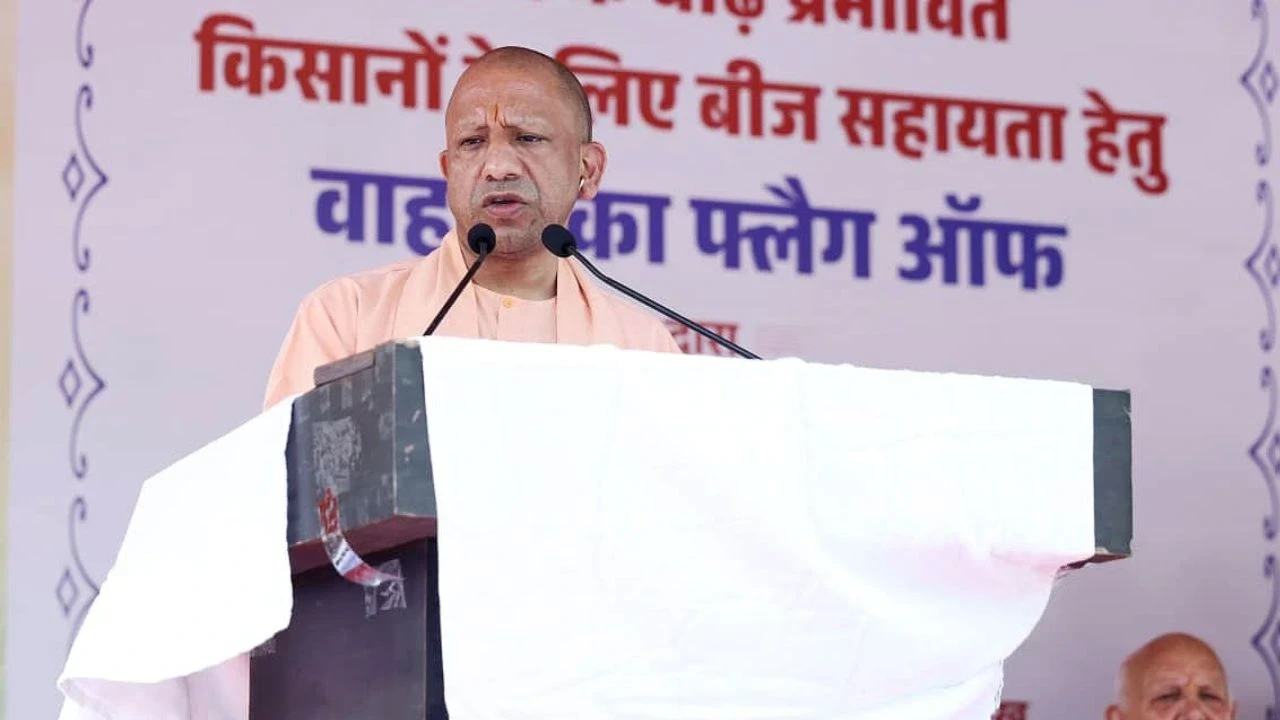 UP News