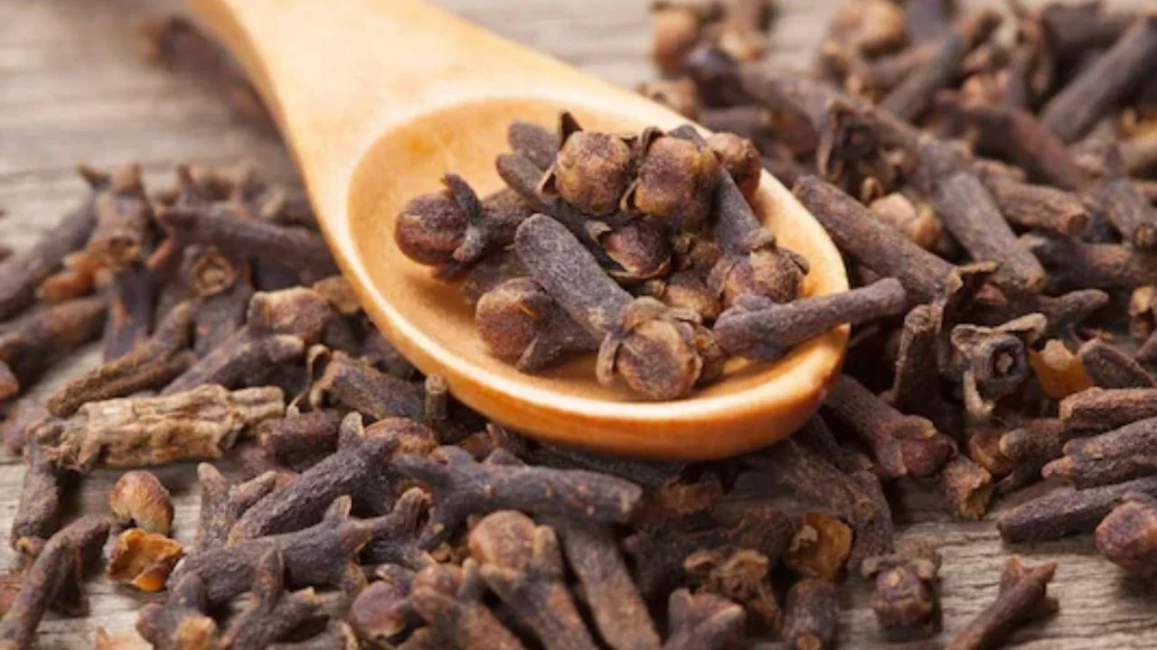 Benefits of Chewing Cloves
