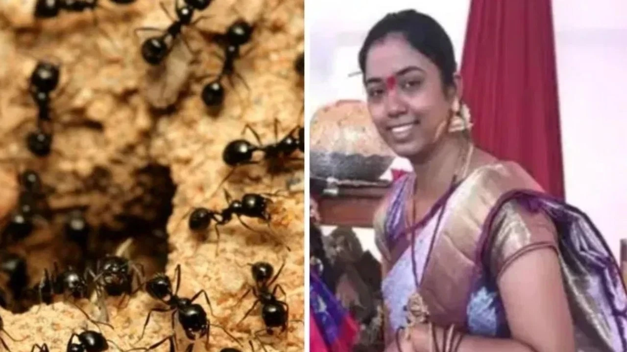 तेलंगाना