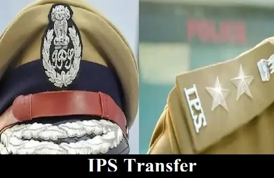 IPS Transfer