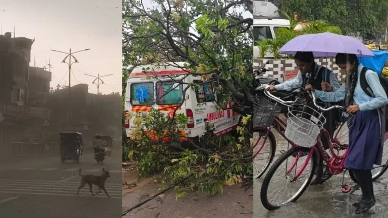 UP Weather