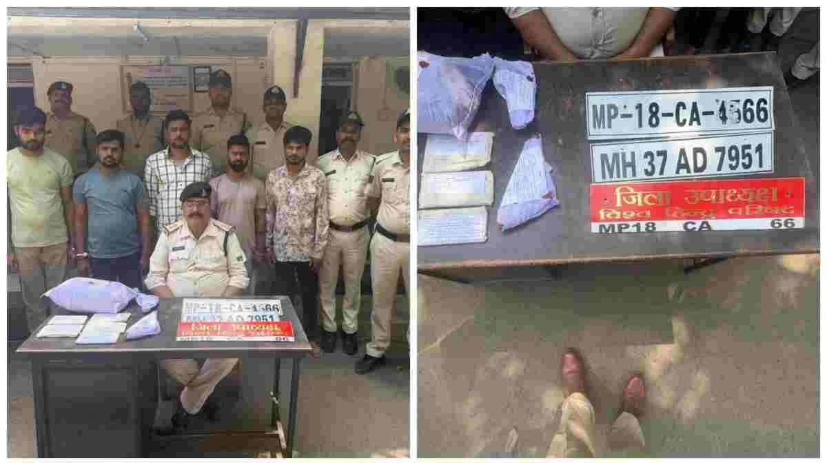 MP News