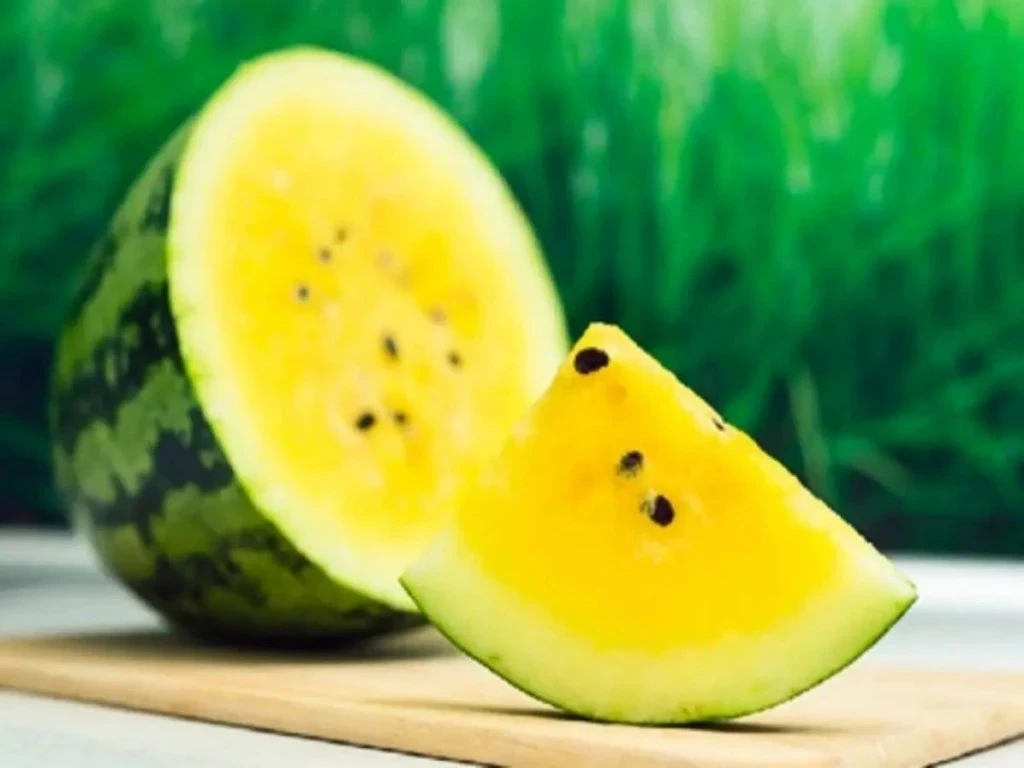 Yellow Watermelon