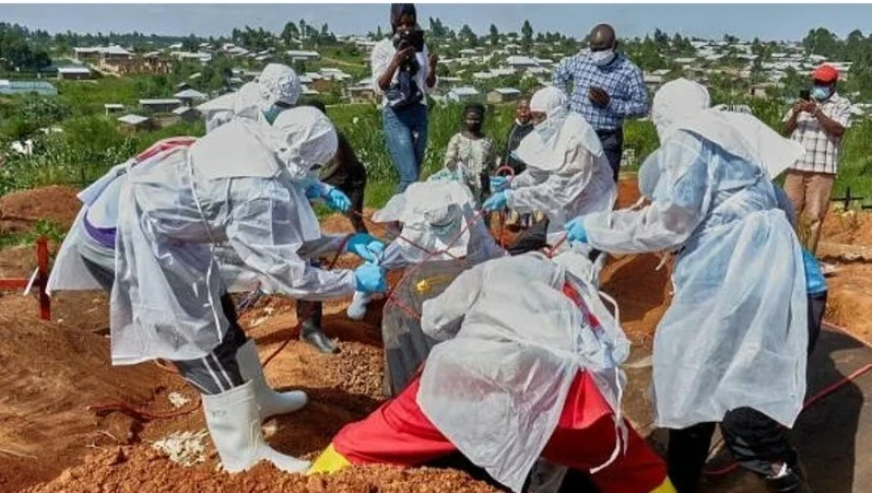 Ebola Virus, Bundibugyo Strain , Congo, WHO , WHO Health Warning