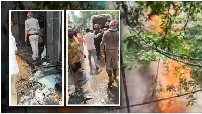 Malviya Nagar Restaurant Fire, Delhi Fire Tragedy, Hauz Rani Restaurant Fire, Delhi Fire News, Deaths in Restaurant Fire
