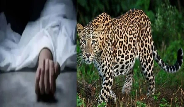UP News