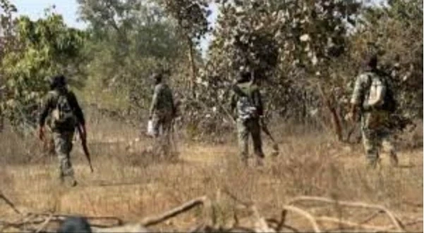 CG Naxal News