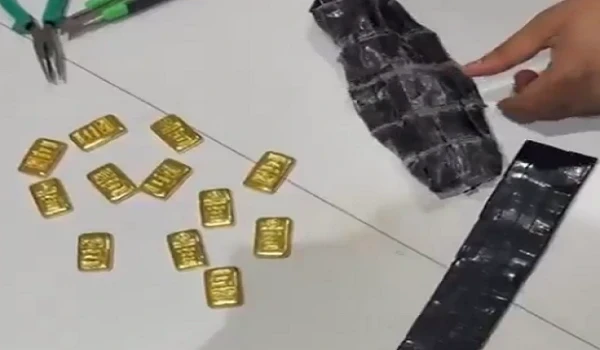 Gold Seizer from IndiGo Aircraft