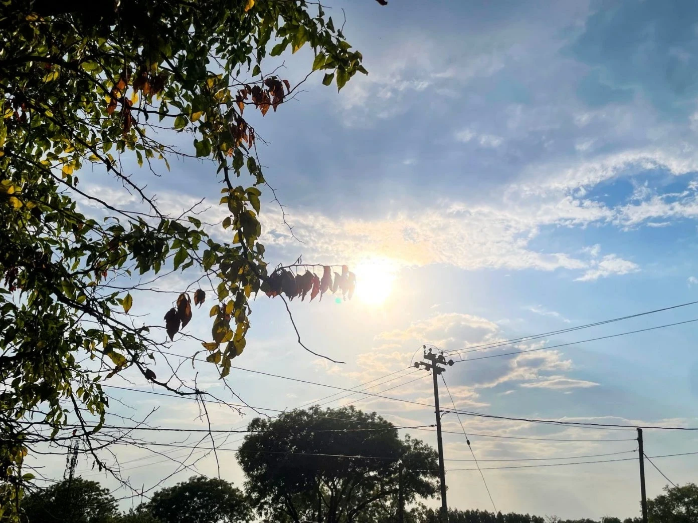 CG Weather News