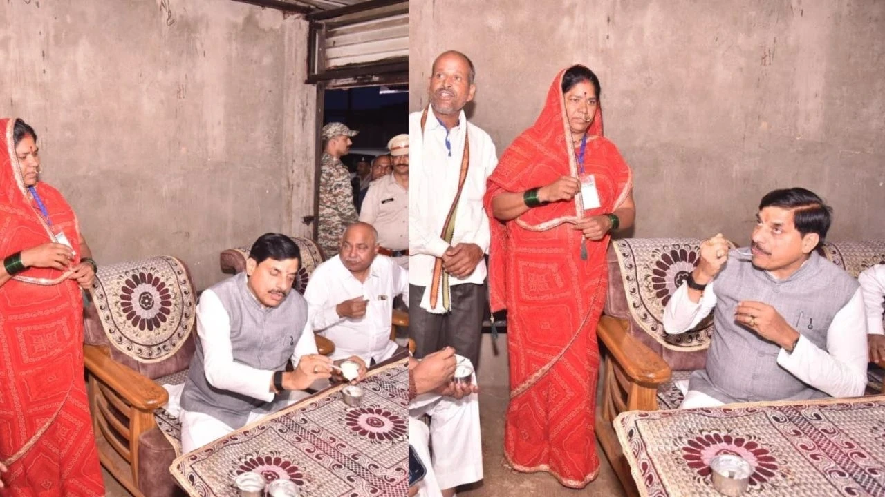MP News