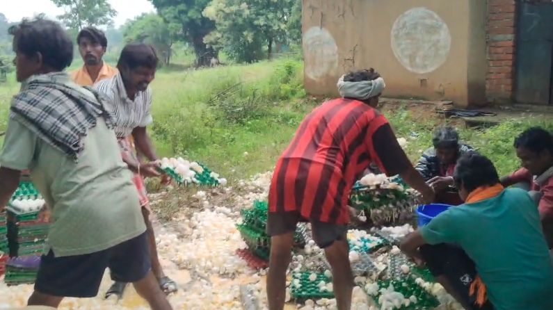 news description image 1753632605