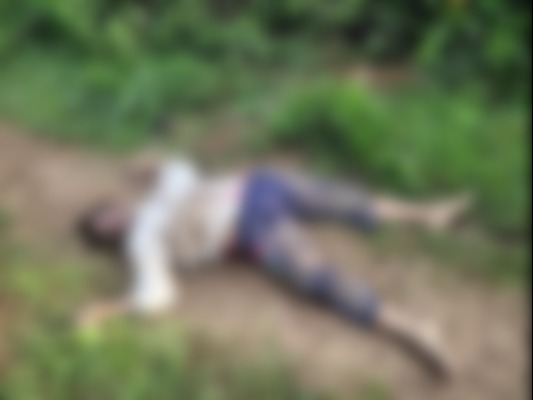 दंतैल हाथी