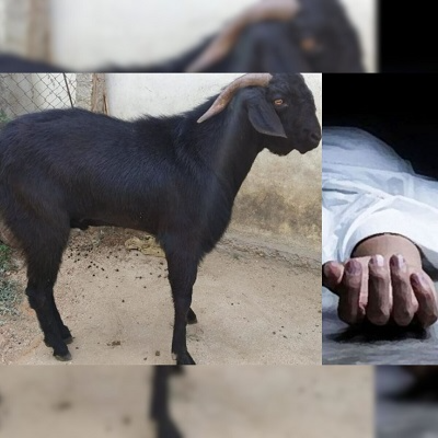 सोनभद्र जिले के बचरा गांव में बकरी बेचने के विवाद में बेटे ने अपनी मां को पेट्रोल डालकर जिंदा जलाया। पुलिस ने आरोपी को गिरफ्तार किया और मामले की विस्तृत जांच की जा रही है।