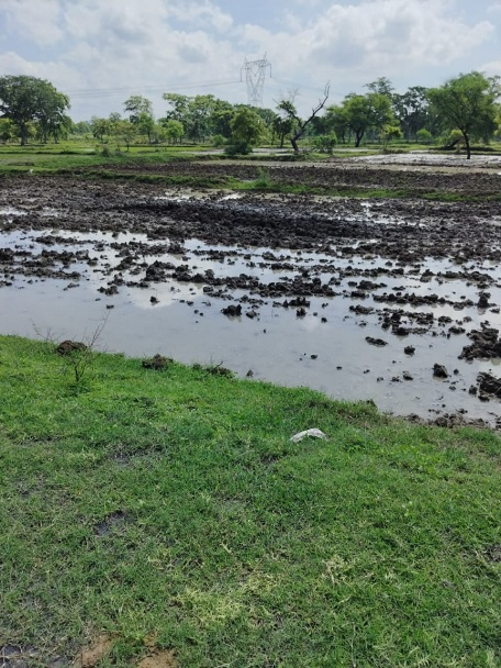 "Illegal encroachment on government land in Parasapali village continues despite notice; Sarpanch vows strict action against offenders."